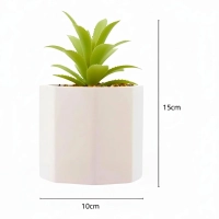 Kit 2 Vaso Cimento Branco Decorativo Acompanha Planta Flores Plantas Wolff