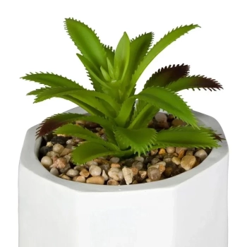 Kit 2 Vaso Cimento Branco Decorativo Acompanha Planta Flores Plantas Wolff
